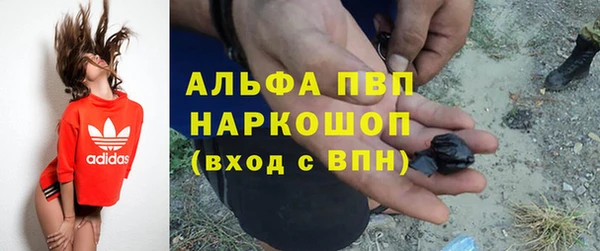 стафф Алексин